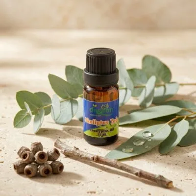 Diyaron Okaliptus Yağı 10ml