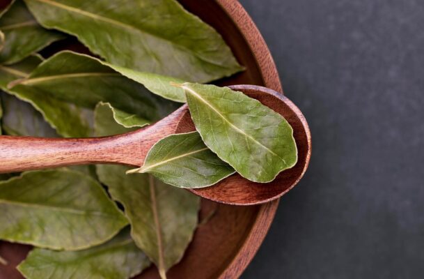 Akdeniz’in Kadim Mirası: Defne Yaprağı ve Kullanım Alanları A detailed close-up of fresh bay leaves resting on a wooden spoon, emphasizing natural textures.