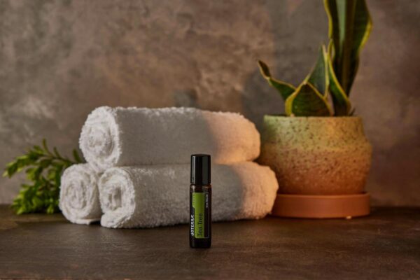 A soothing spa arrangement featuring tea tree essential oil, white towels, and a potted plant for relaxation.