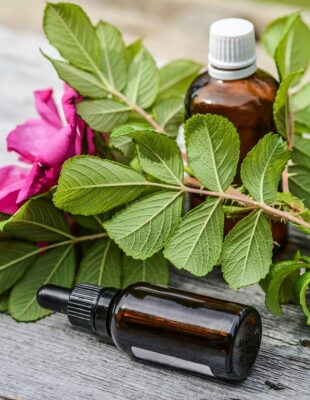essential oils, alternative, flower wallpaper, aroma, rose flower, aromatic, body, bottle, care, flower, fragrance, health, beautiful flowers, herbal, liquid, massage, natural, oil, perfume, flower background, relax, relaxation, scent, spa, nature, treatment, wellness, zen, essential, rose