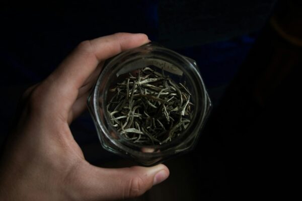 Hand holding a jar filled with dried tea leaves, captured in low light.