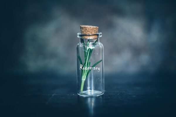 A single sprig of rosemary inside a transparent glass bottle with cork, evoking purity and freshness.
