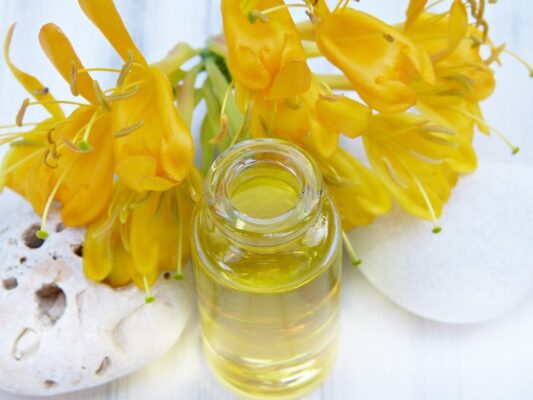 oil, glass, bottle, honeysuckle, yellow, beauty, cosmetics, essential oils, spa, wellness, skin care, natural cosmetics, personal hygiene, sesame oil, jojoba oil, treatment, maintenance, massage, perfume, aromatherapy, alternative, skin care, sesame oil, sesame oil, sesame oil, jojoba oil, jojoba oil, jojoba oil, jojoba oil, jojoba oil