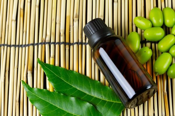 essential oil, neem, herbal, packaging, background, bottle, care, close-up, essential, extract, fresh, glass, healthy, herb, leaves, medical, medicine, natural, nature, oil, organic