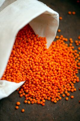 lentils, food, beans, healthy, vegetarian, vegan, natural, nutrition, organic, lentils, lentils, lentils, lentils, lentils