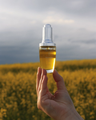 Hand holding a cosmetic serum bottle against a vibrant yellow flower field during sunset.