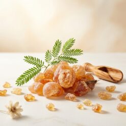 diyaron arap sakizi 3 - Arap Sakızı (Akasya Gamı)