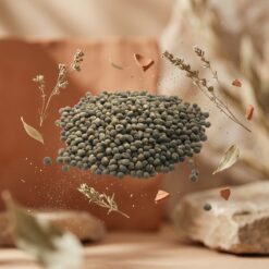 diyaron bamya tohumu 4 - Bamya Tohumu