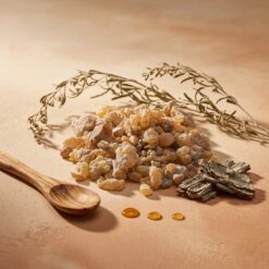 diyaron gunluk sakizi 2 - Günlük Sakızı (Akgünlük)