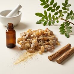 diyaron gunluk sakizi 3 - Günlük Sakızı (Akgünlük)