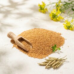 diyaron sari hardal 2 - Sarı Hardal Tohumu