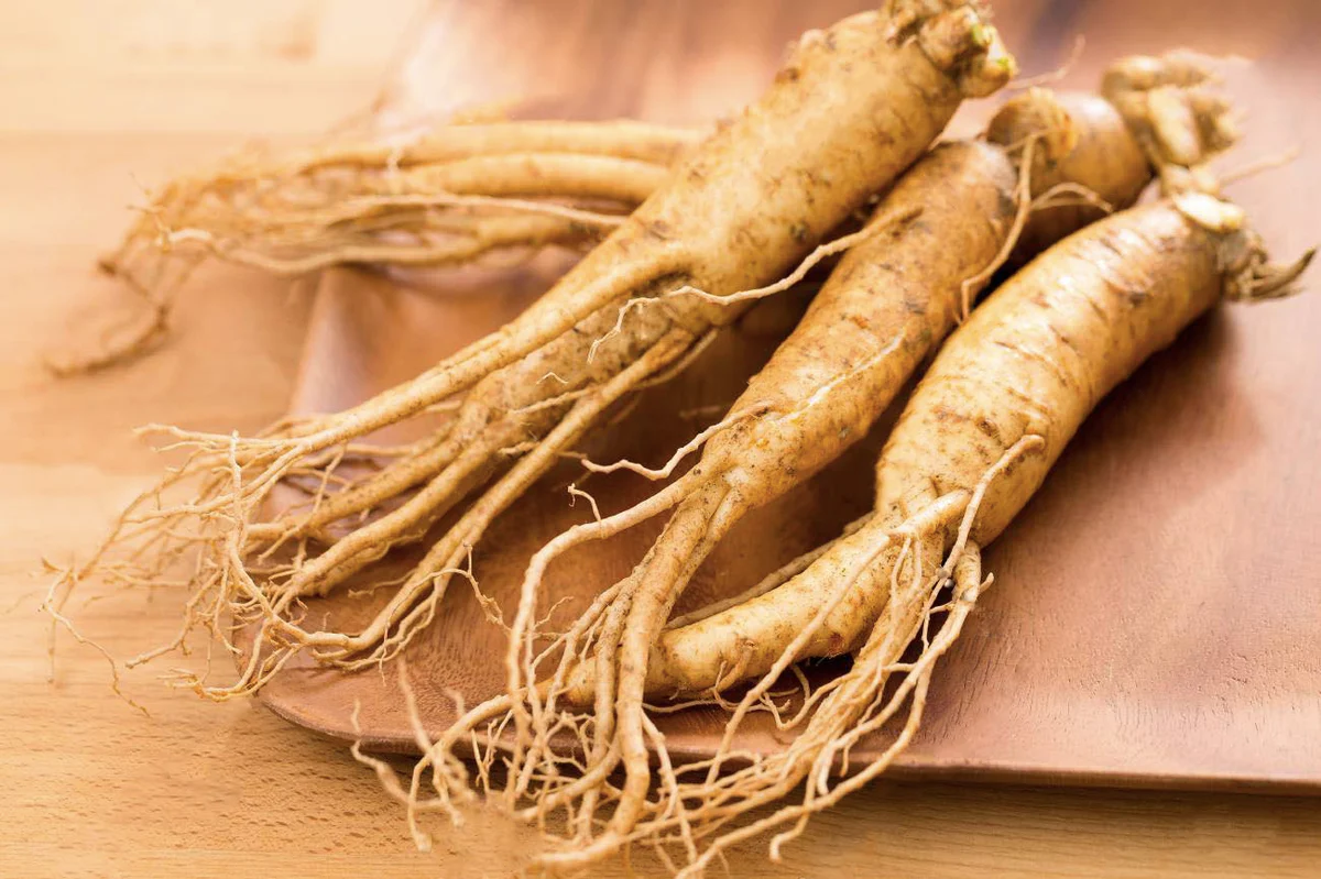 ginseng 1 - Ginseng Tozu: Doğanın Kadim Gücü ve Kırmızı Ginseng’in Teknik Özellikleri