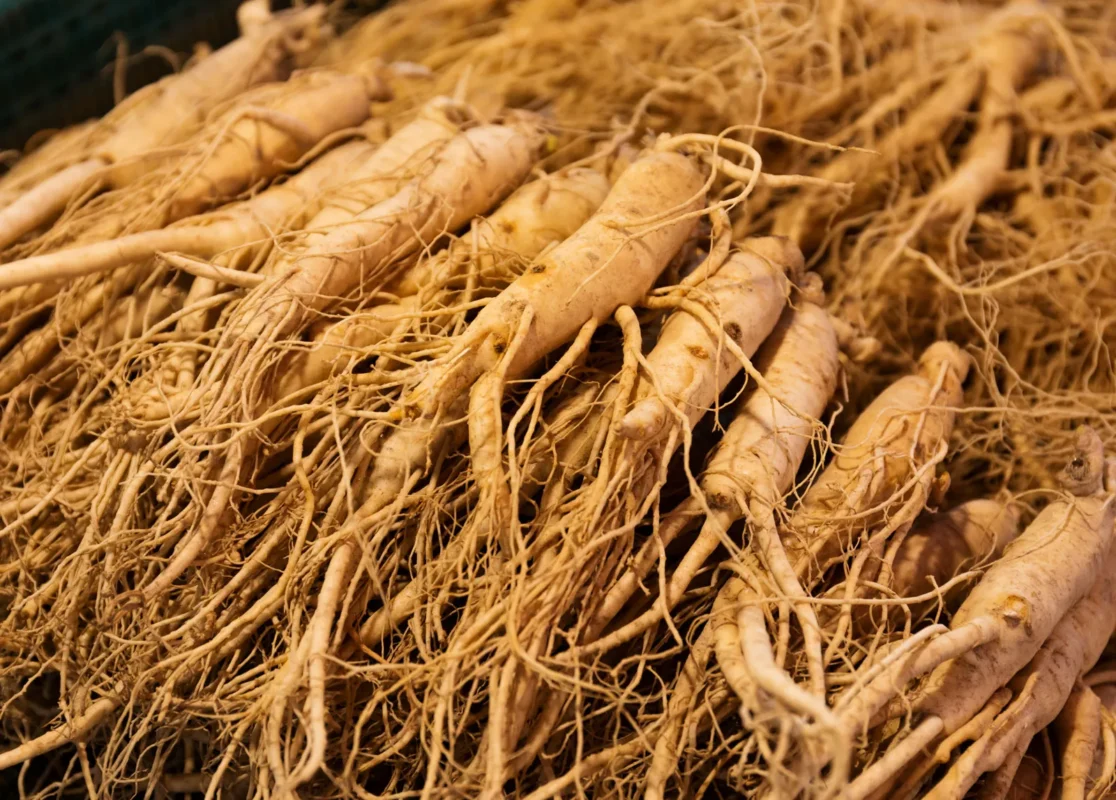 ginseng 5 - Ginseng Tozu: Doğanın Kadim Gücü ve Kırmızı Ginseng’in Teknik Özellikleri