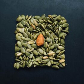brown almond nut