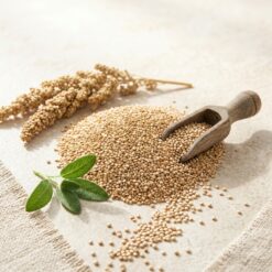 kinoa tohumu 2 - Kinoa Tohumu