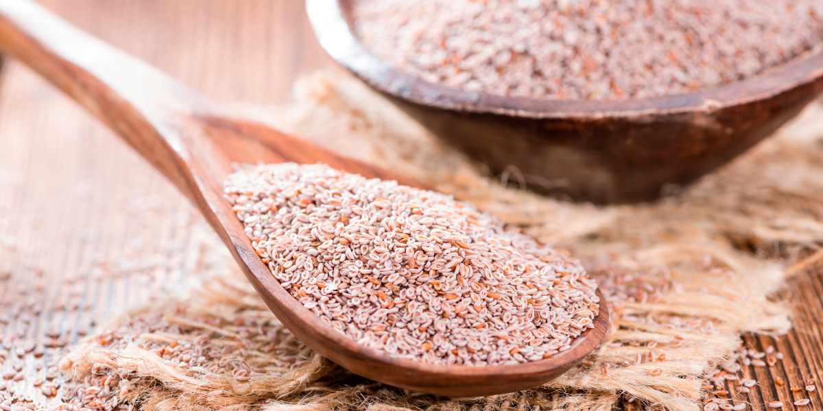 psyllium Karniyarik otu tohumu - Karnıyarık Otu Tohumu: Doğanın Lif Kaynağı ve Kullanım Rehberi