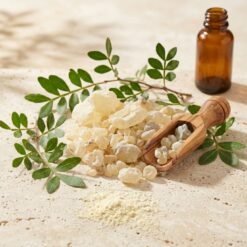 sandoloz sakizi 2 - Sandaloz Sakızı