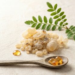 sandoloz sakizi 3 - Sandaloz Sakızı