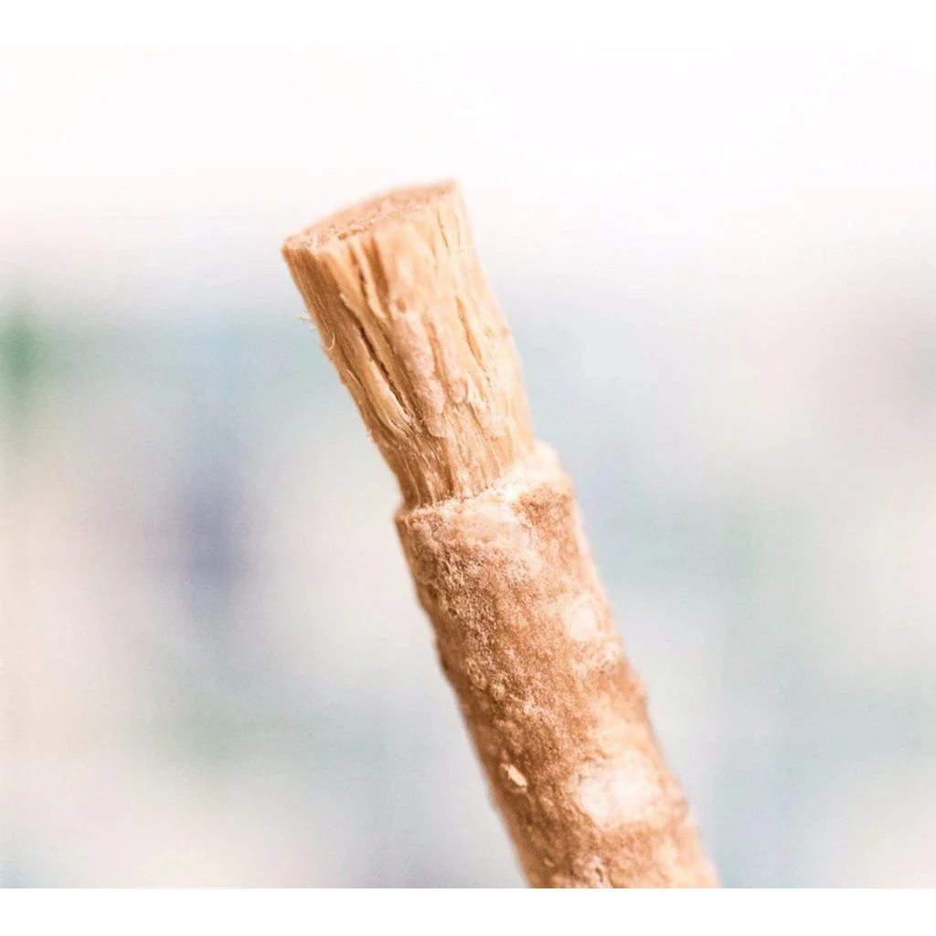 miswak 5 - Doğal Ağız ve Diş Sağlığında Geleneksel Bir Miras: Misvak Hakkında Her Şey