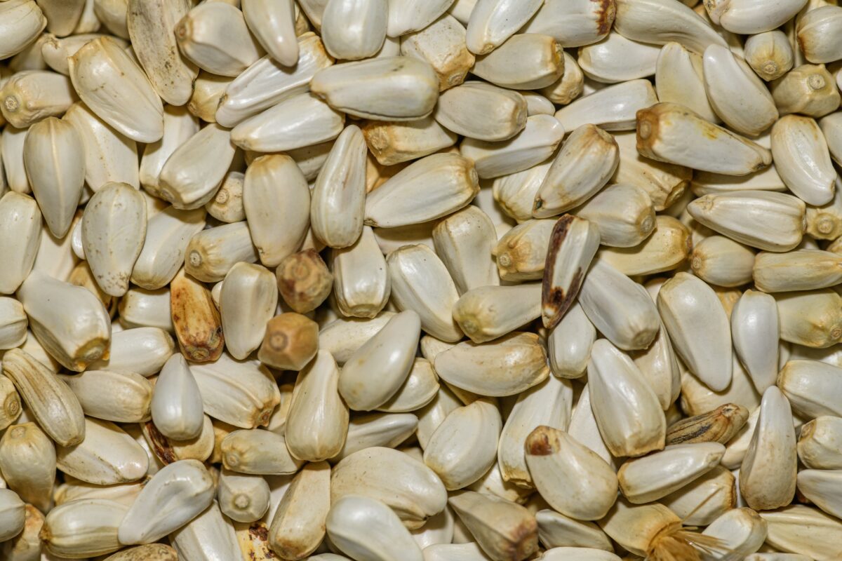 A textured close-up of raw garlic cloves creating a natural, abundant wallpaper effect.