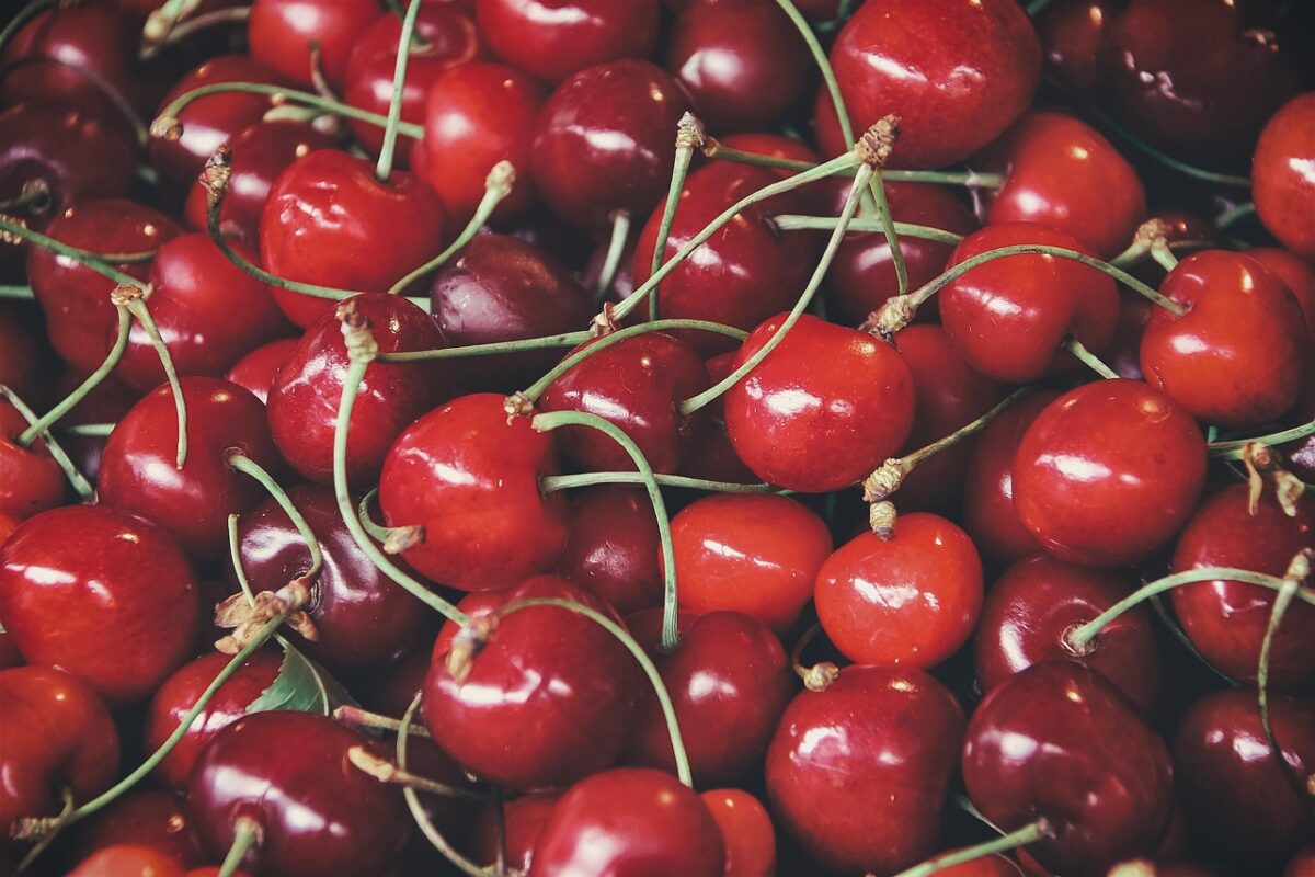 cherries, fruits, food, fresh, healthy, ripe, organic, sweet, produce, harvest, vitamins, red, cherries, cherries, cherries, cherries, cherries, fruits, fruits, red, red