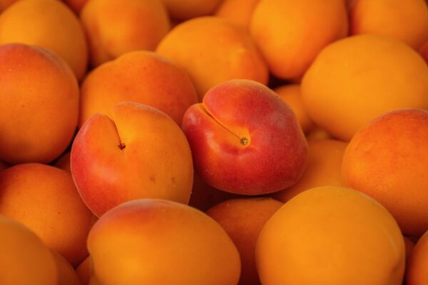 Close-up of vibrant apricots showcasing their natural color and texture.