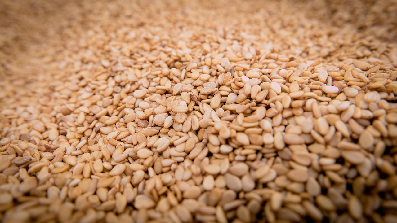 sesame, seeds, sesame seeds, sesamum indicum, pedaliaceae, oil plant, sesame plants, cultivated, healthy, food, nourishment, meal, natural product, brown, sesame, sesame, sesame, sesame, sesame, sesame seeds, sesame seeds, sesame seeds, sesame seeds