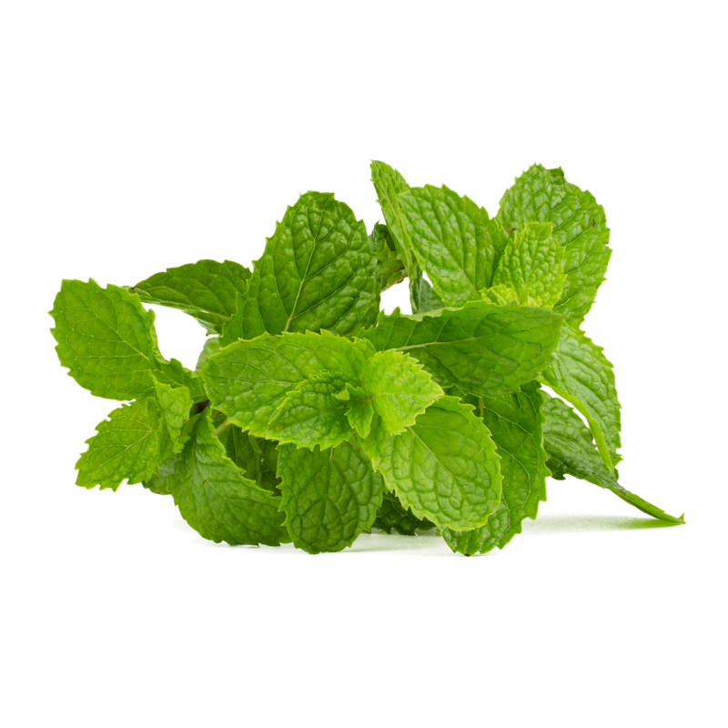 mint, mint leaf, green, peppermint, healthy, drink, health, healing, leaves, soda, herbs, aroma, taste, tea, refreshment, fresh, leaf, nature, mint, mint, mint, mint, mint, peppermint