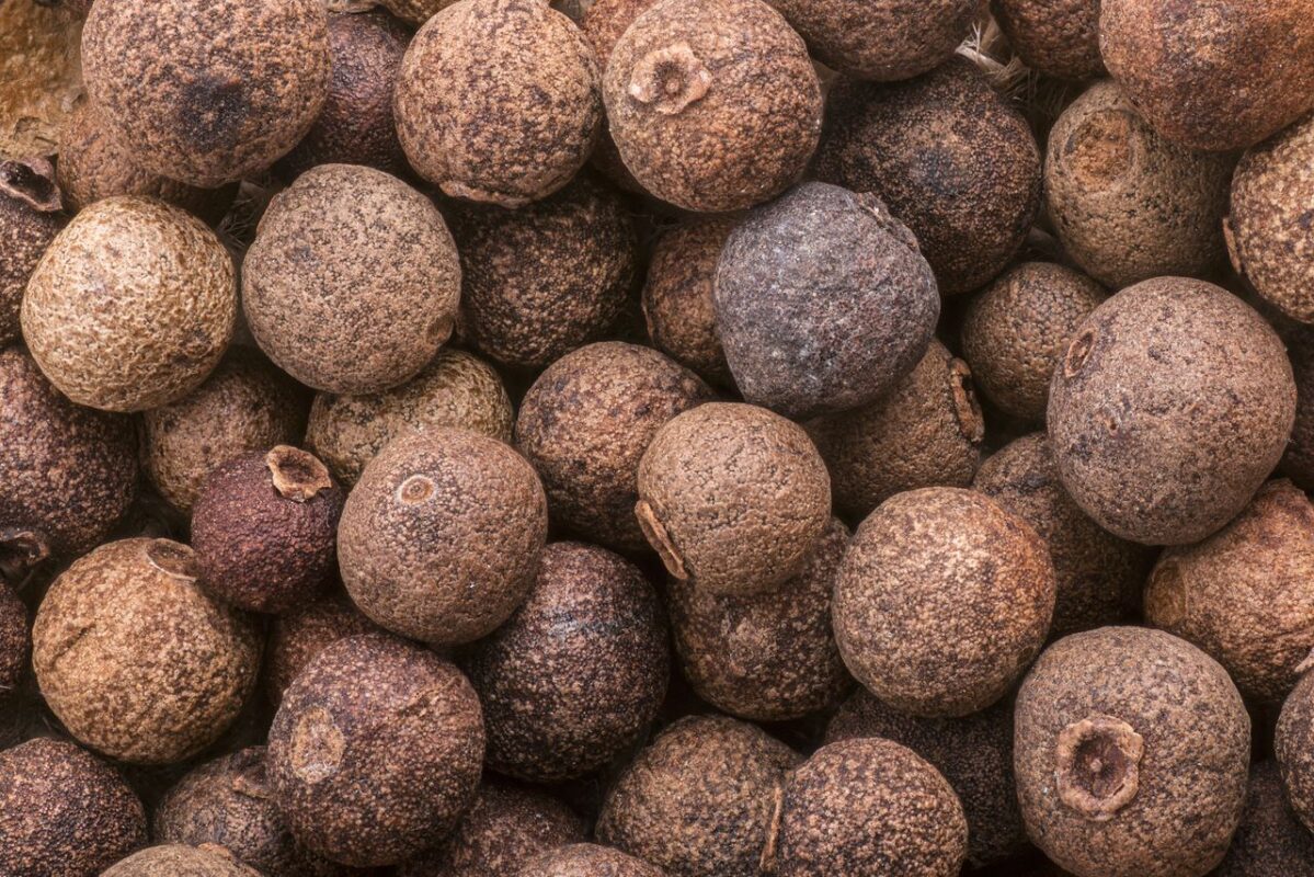 Detailed image of whole allspice berries, highlighting texture and earthy tones.