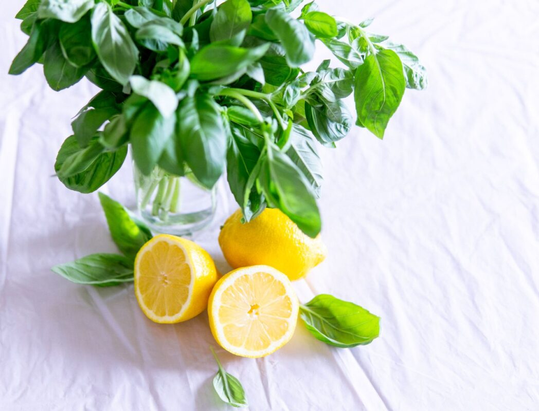 Limon Kabuğu Yağı: Doğadan Gelen Ferahlığın ve Saf İçeriğin Hikayesi A vibrant still life featuring fresh basil and lemon slices against a crisp white background.