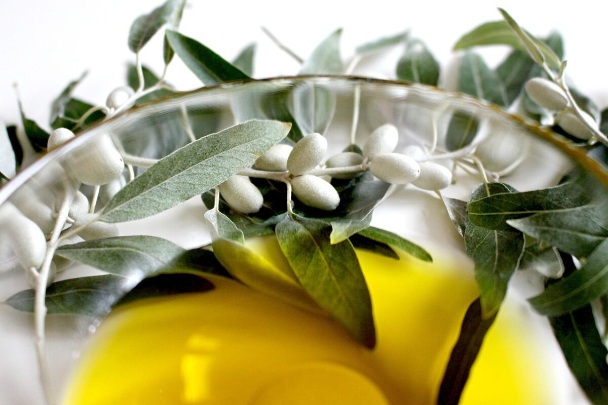 olive, olive oil, olive leaf, plant, meal, oil, food, mediterranean, healthy, nourishment, farmers local market, italy, green, nature, delicacy, leaves, market, olive tree, spain, plantation, green olives, agriculture, olive plantation, olive garden, olive planting, olive grove