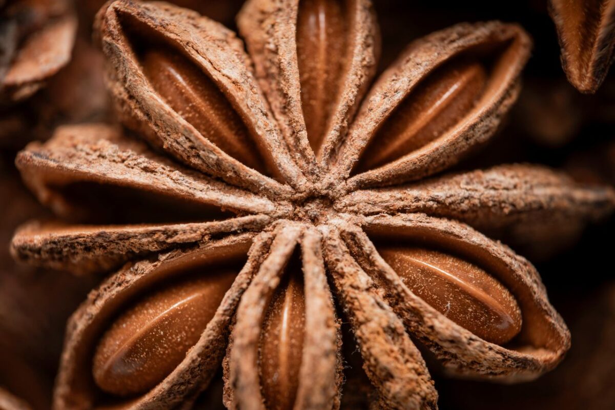 Doğanın Estetik Hazinesi: Yıldız Anason Hakkında Kapsamlı Rehber Macro photograph capturing star anise spice in intricate detail, showcasing texture.
